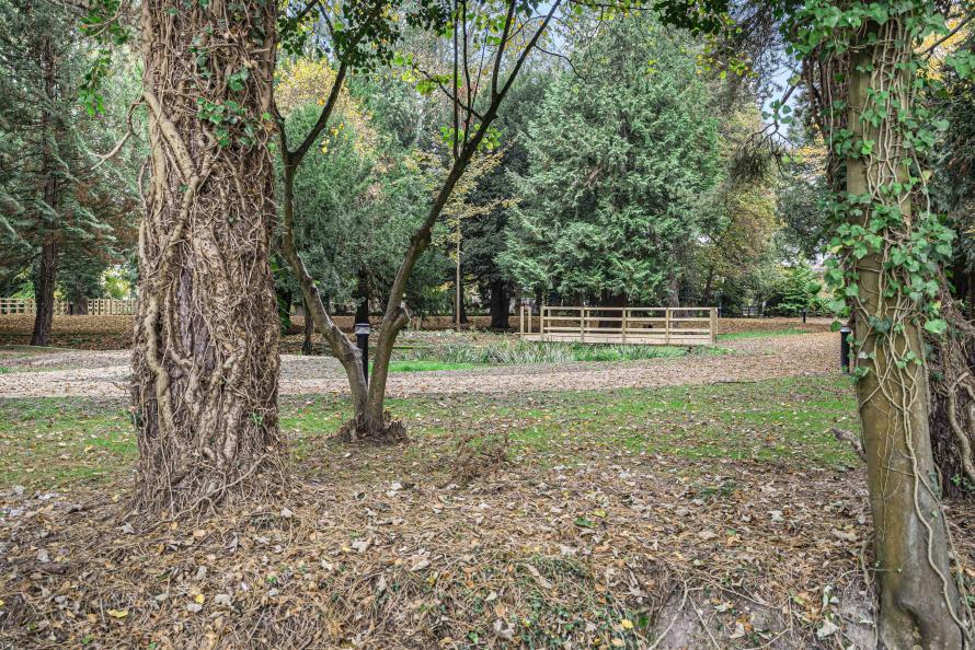 Farehurst Park - Woodland/Open Space