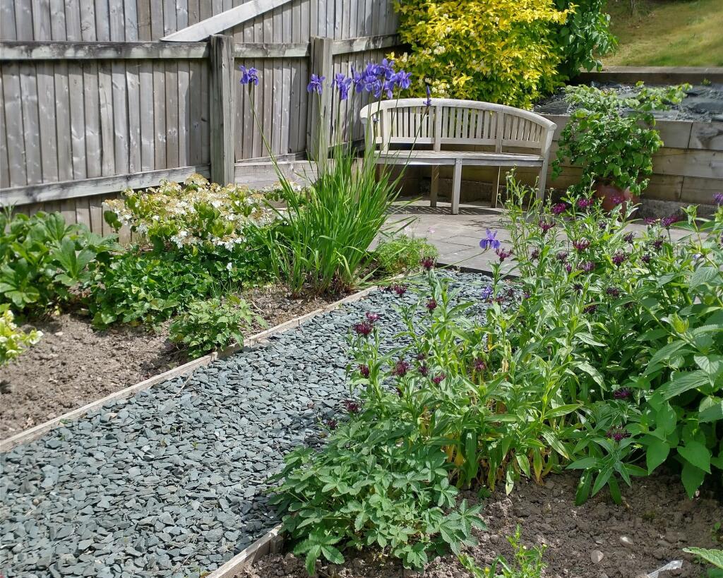 Summer Garden