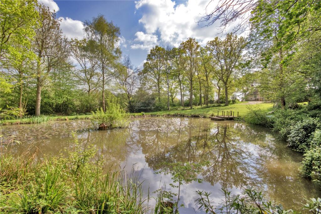 Pond