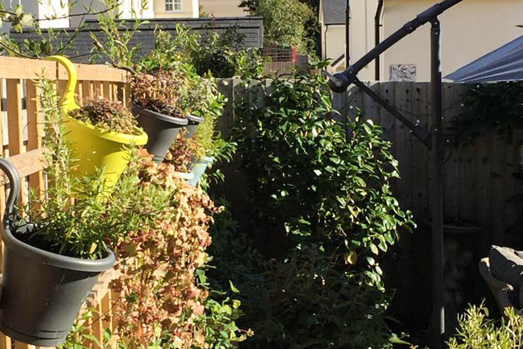 Garden	