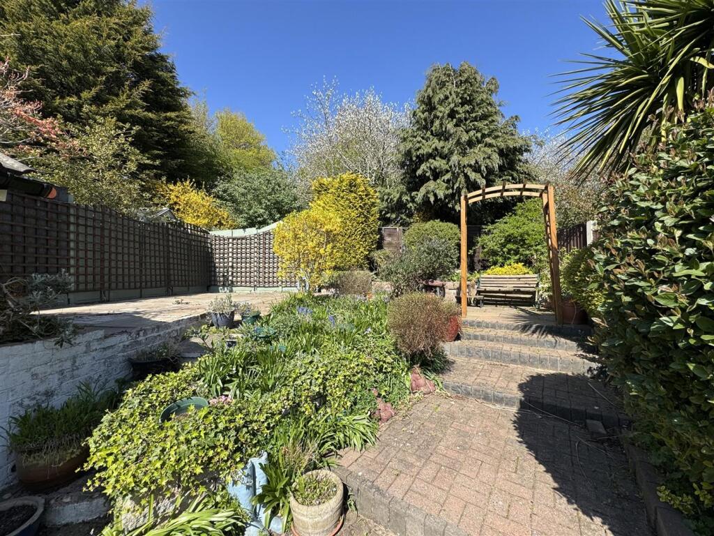 IMG_1275 (Large).JPG