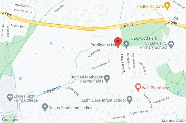 Google Maps Image