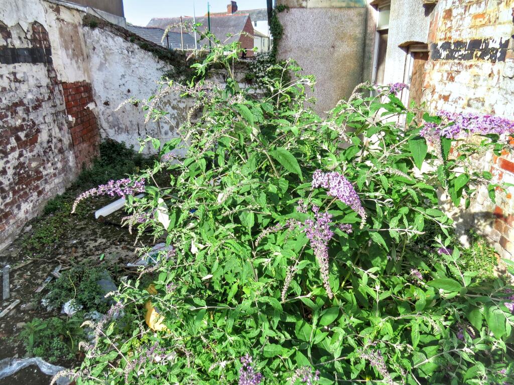 20250704162905 IMG 1694 XX0nQ T202507071540.jpg