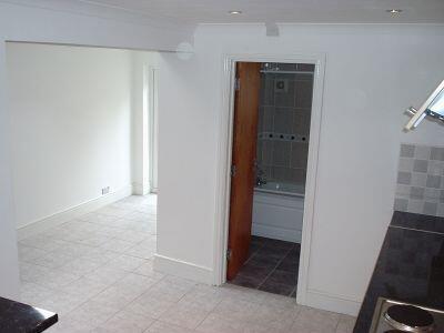 Kitchen / Living Area