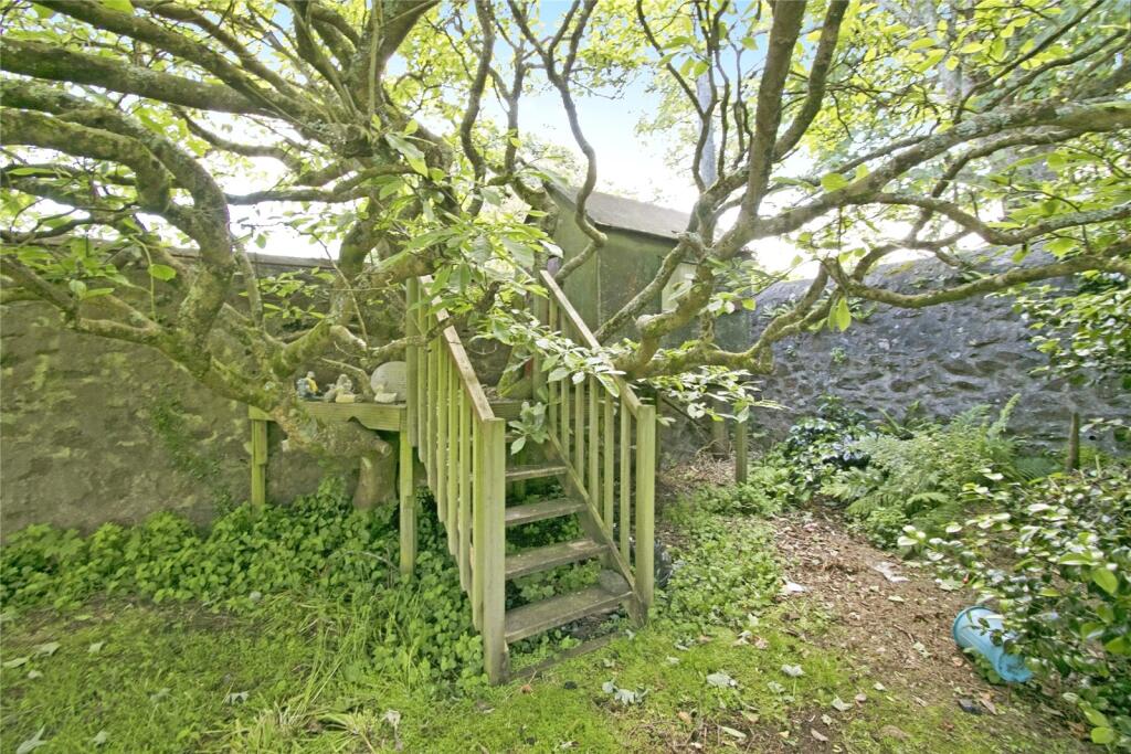 Tree House