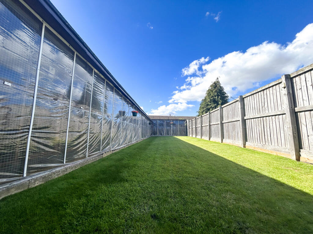 Cattery