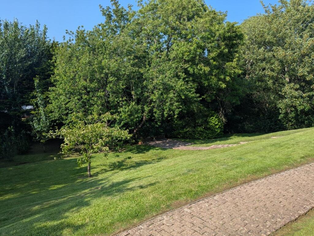 PXL_20250609_155116157.jpg