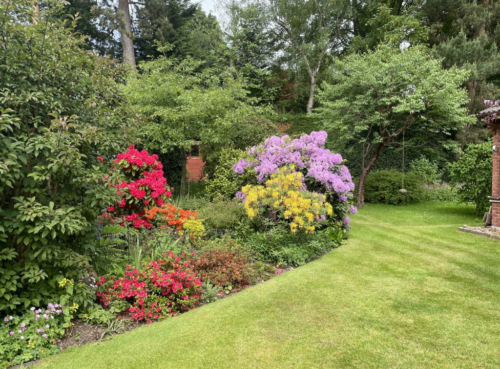 Screenshot 2024-07-30 at 15.21.22.png