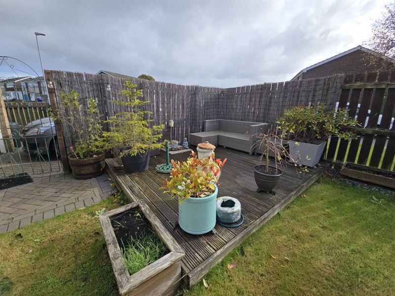 Decking Area