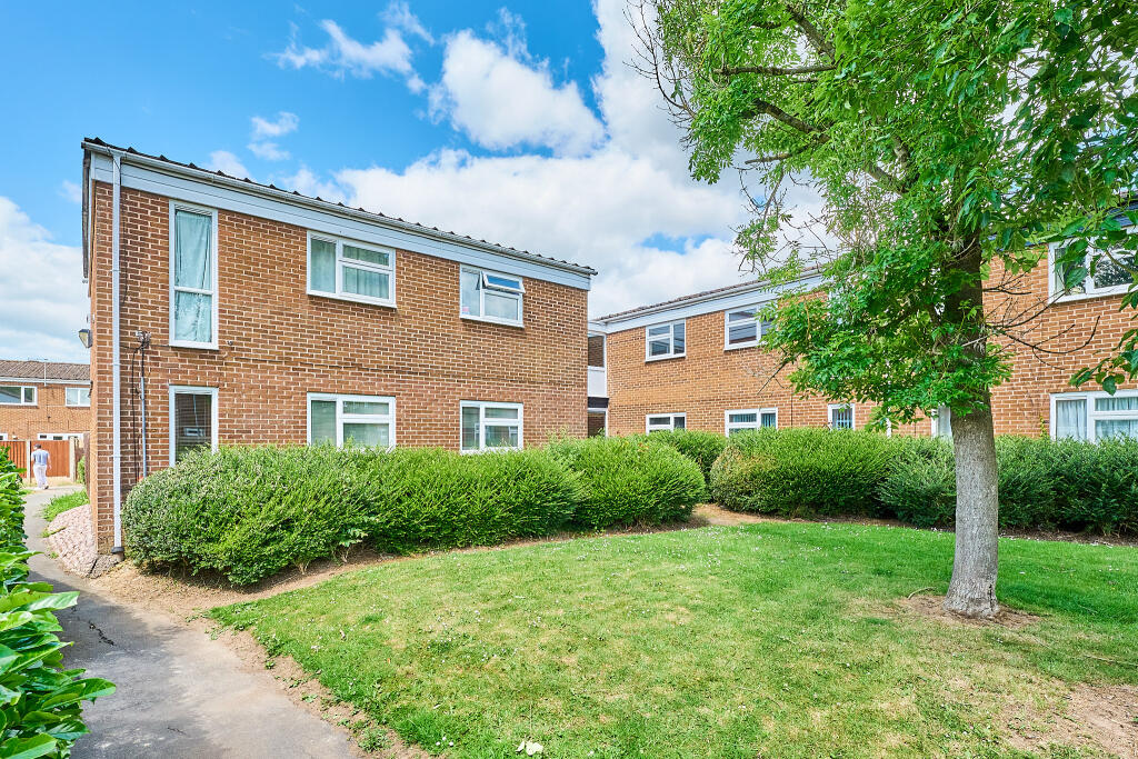 P1462751 T202506021824.jpg