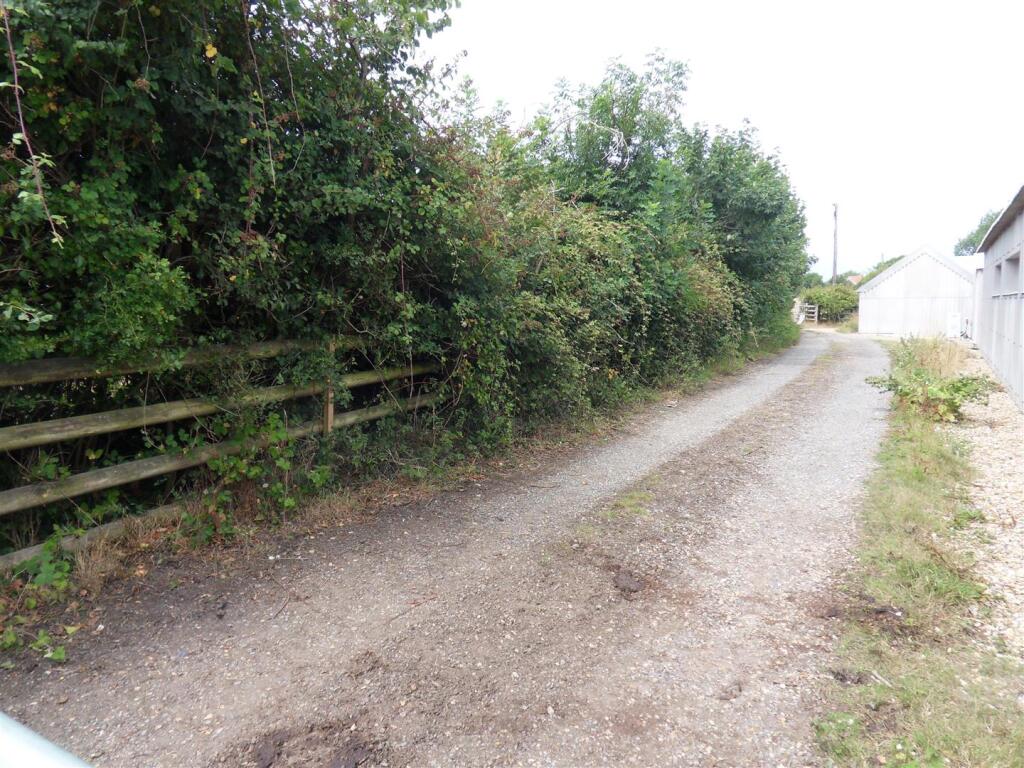 SDC10877.JPG