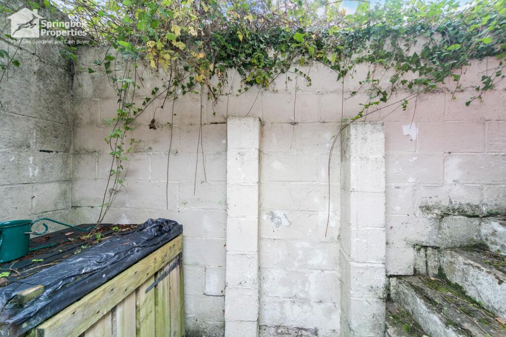 IMAGE 12
