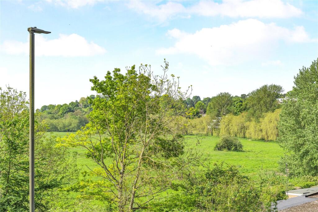 Water Meadows