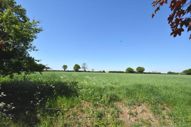 Field View