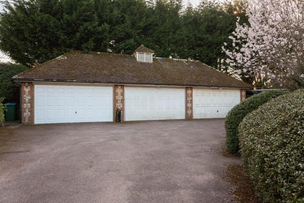 Henfield Common South-23.jpg