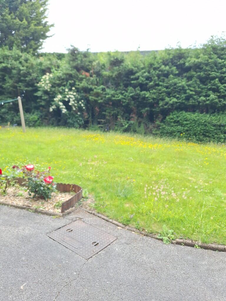Communal Garden 