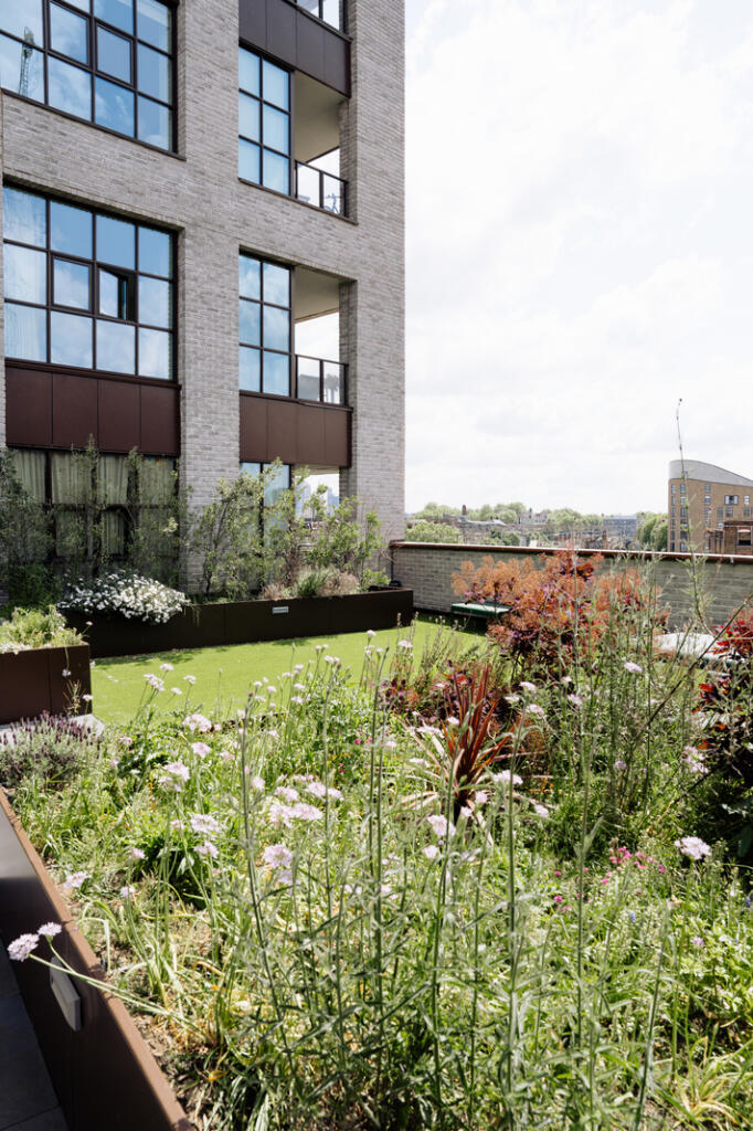 286745 - DSC07810.jpg