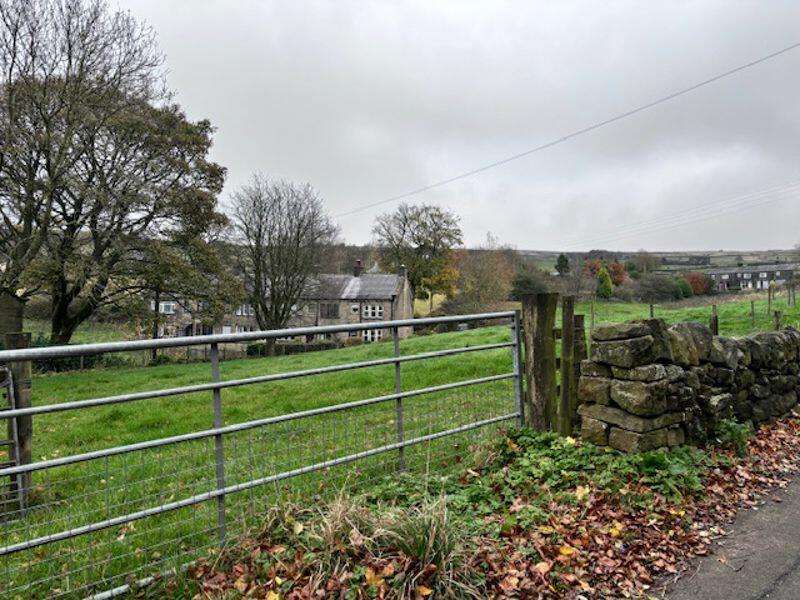 Field
