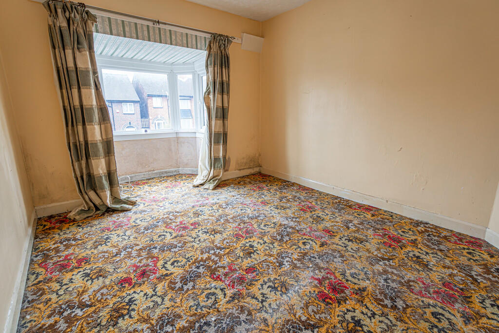 20250317-DSC03386...