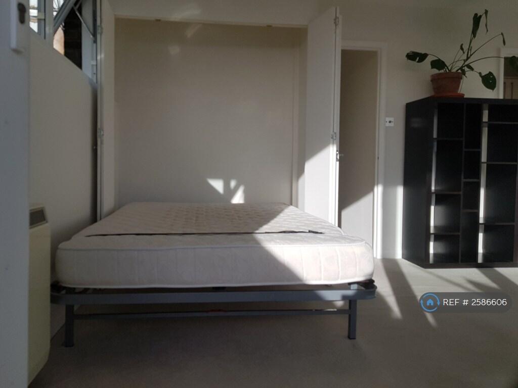 View With Hidden Pull Down Bed 