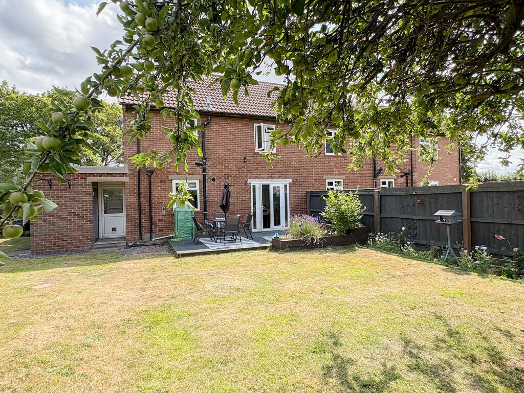 garden rear 2