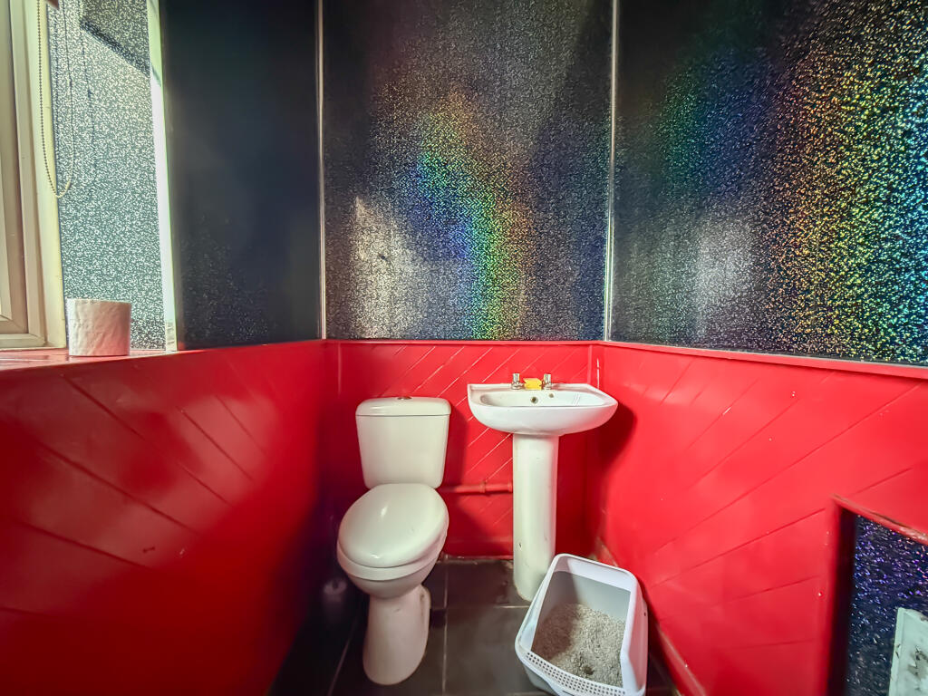 IMG 9978 T202506271037.jpg