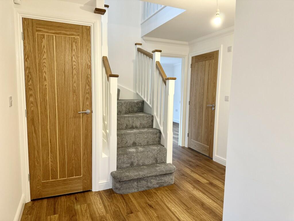 Photos from previ...