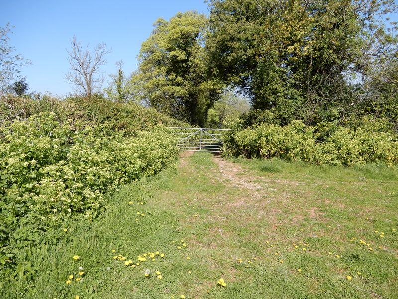 Photo 4