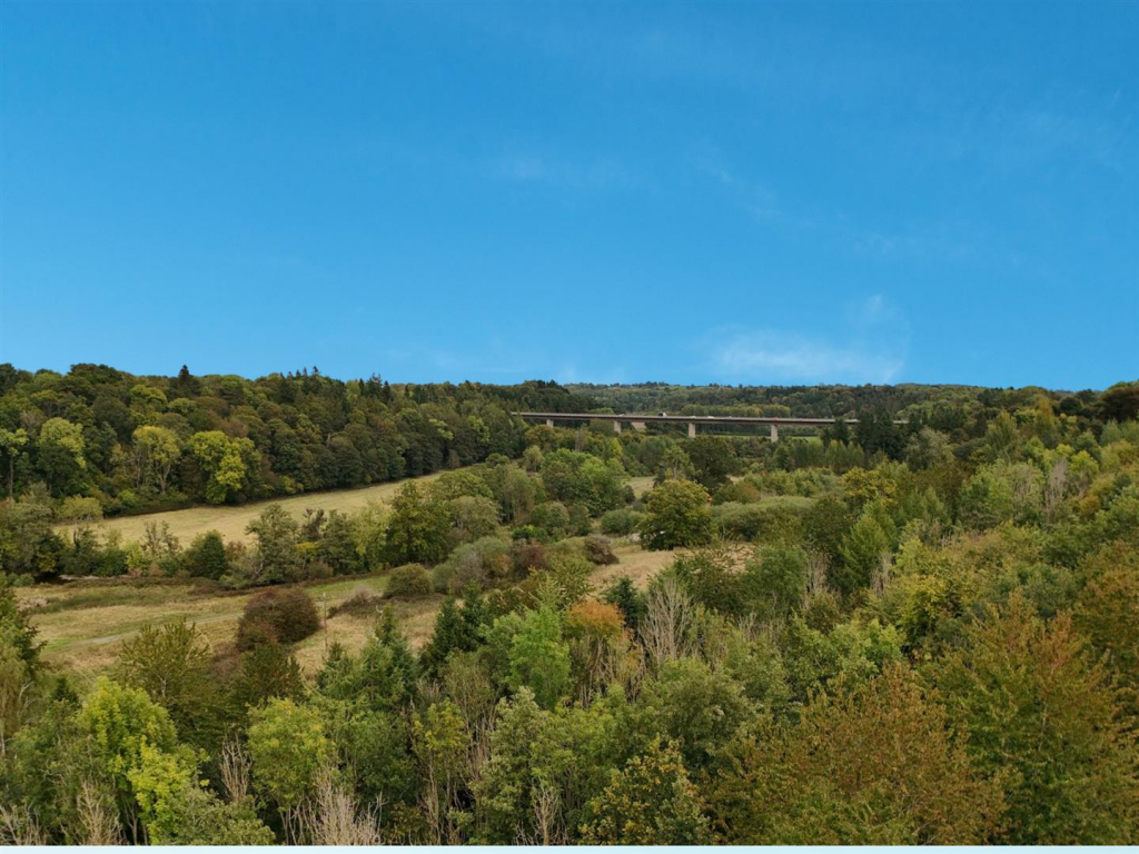 Untitled design (5).png