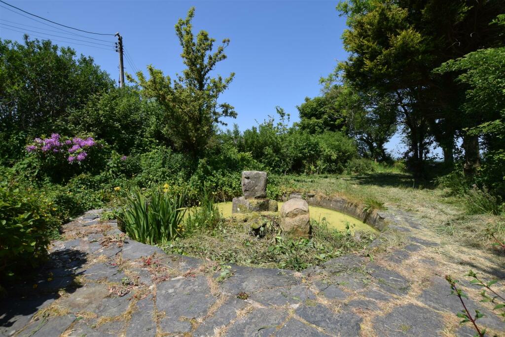 Pond / Patio