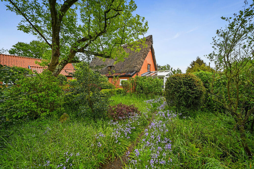 PT-DB(WP)-TheRose...