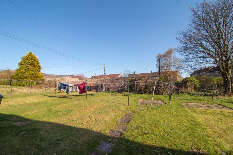 Back Garden