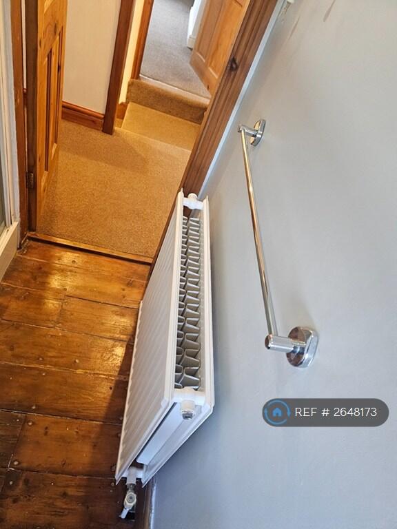 Bathroom Handrail And Radiator