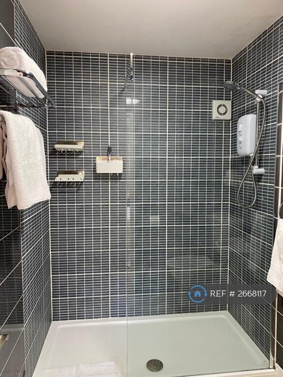 Large Walk-In Electric Shower