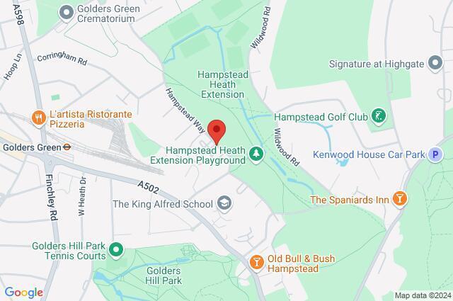 Google Maps Image