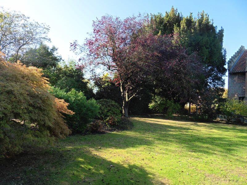 Photo 44