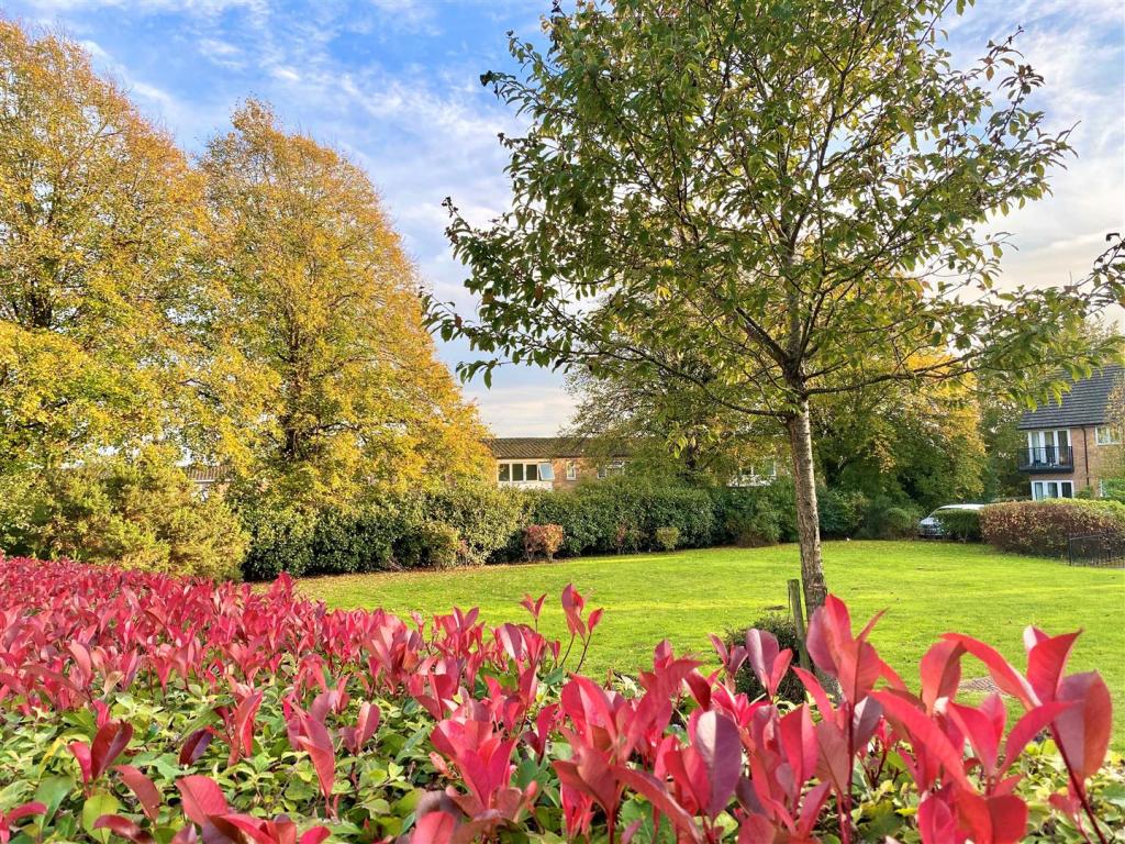 Communal Gardens (2).jpg