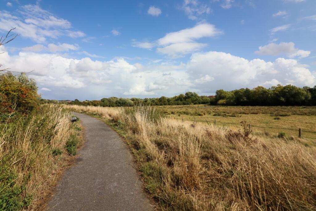 image00054