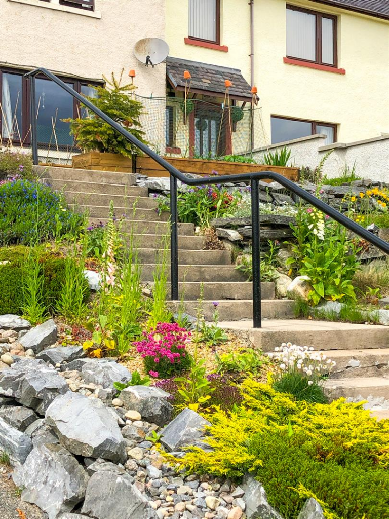 Front Garden in Bloom