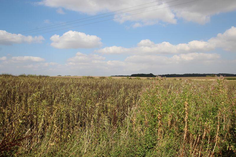 View over open countryside