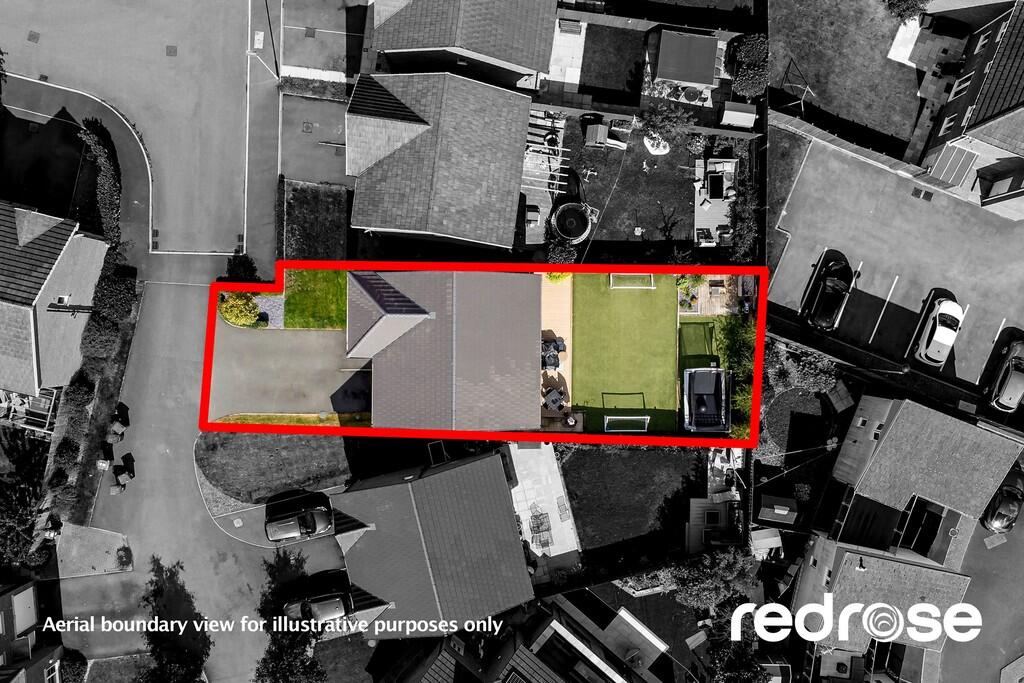 web_16 Old Thorns...