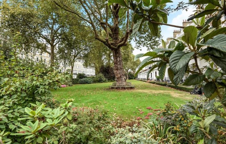 COMMUNAL GARDENS PHOTO.jpg