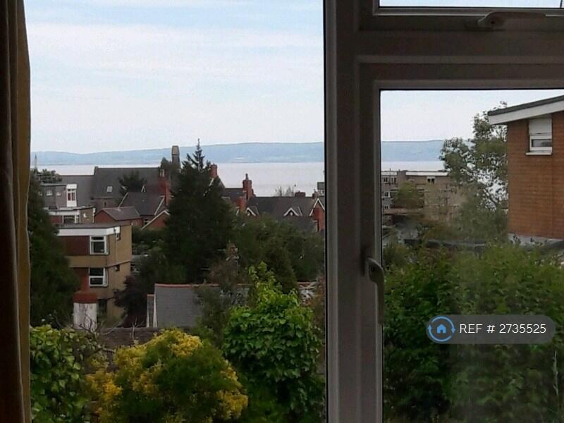 View From Bedroom