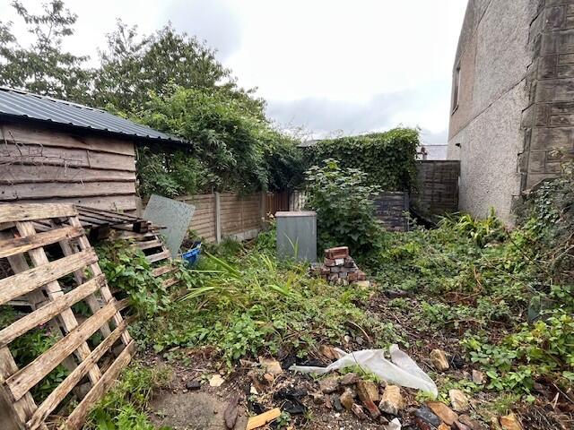 Garden 3 T202509221419.jpg