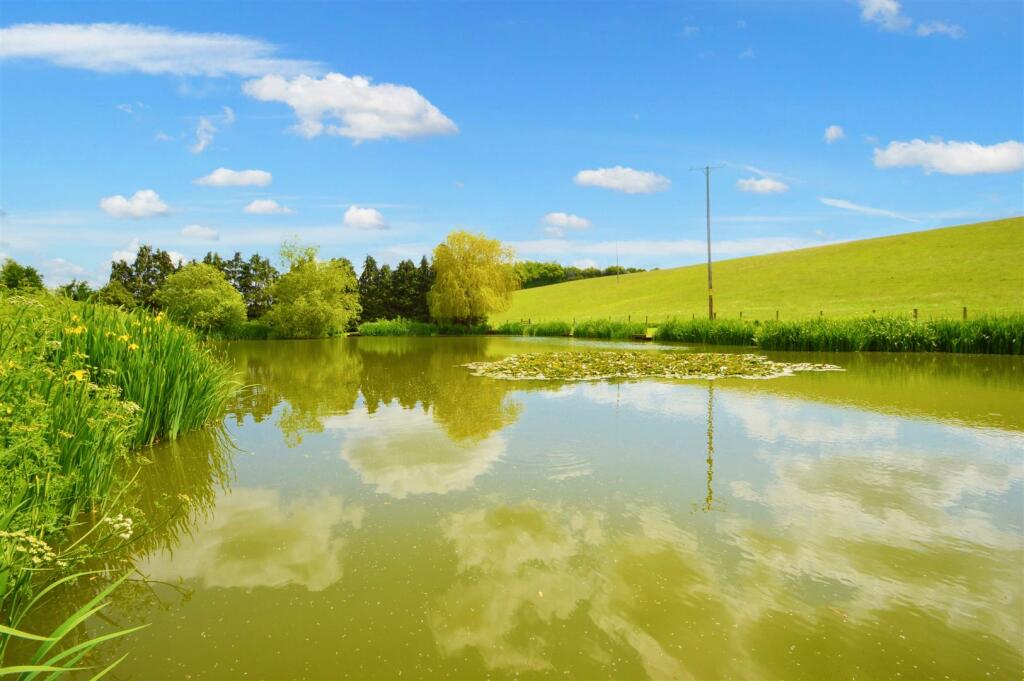 Fishing Lake