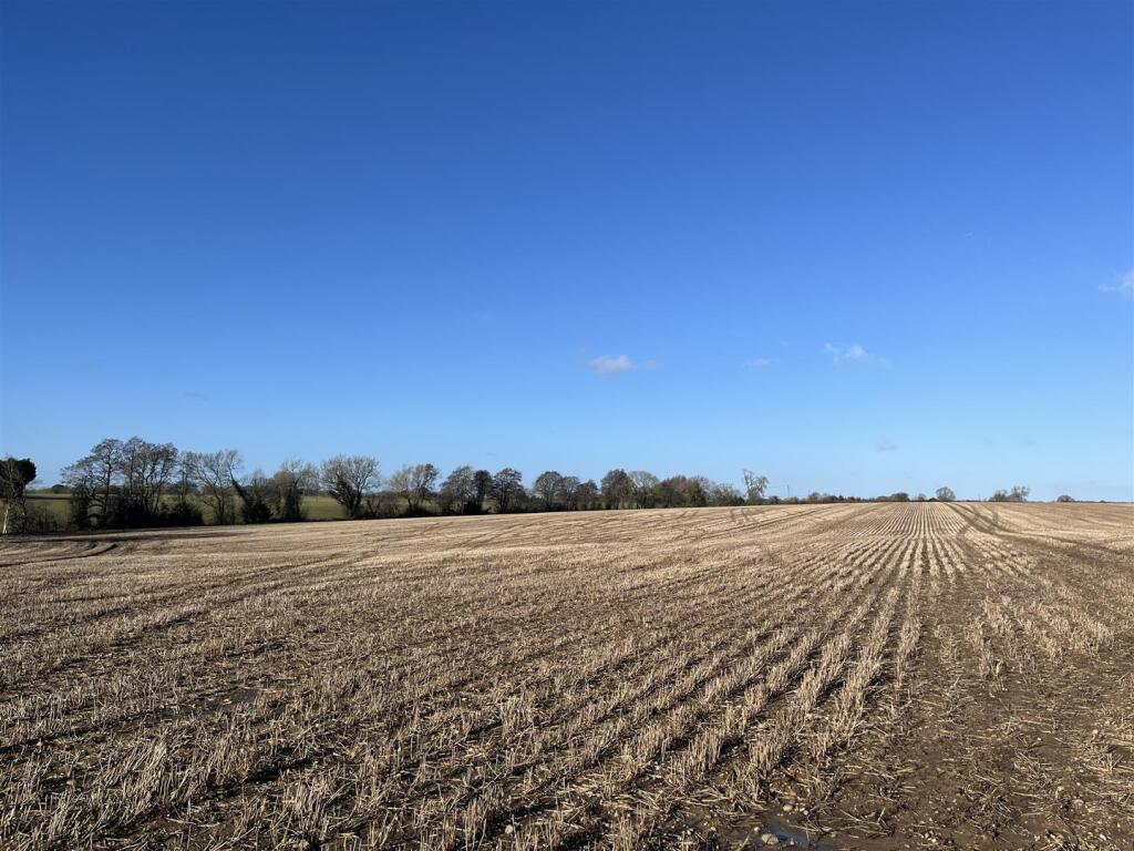 Photo 26-01-2024, 11 25 54?am.jpg