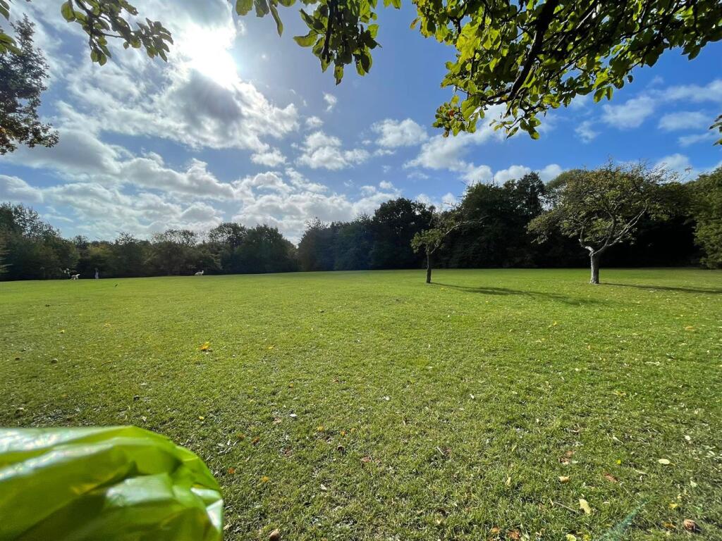 Field to the rear.jpeg