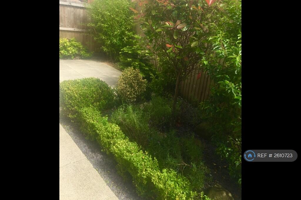 Side Patio