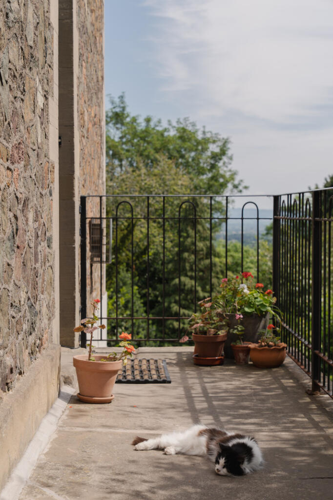 286857 - _A741872.jpg