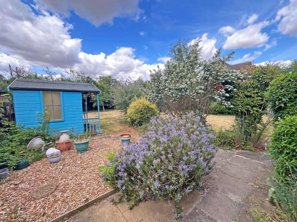 Garden3.jpg